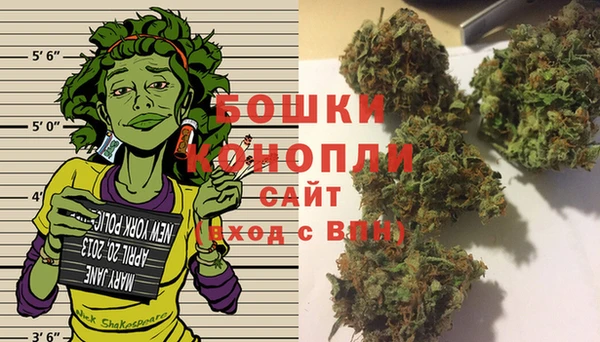 мдпв Каменногорск