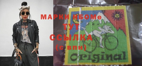 мдпв Каменногорск