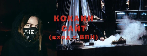 мдпв Каменногорск