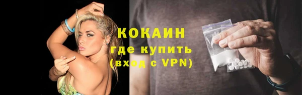 спайс Каменка