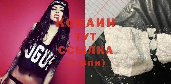 спайс Каменка
