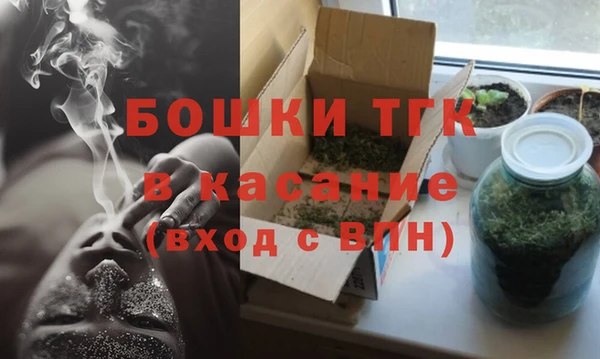 спайс Каменка