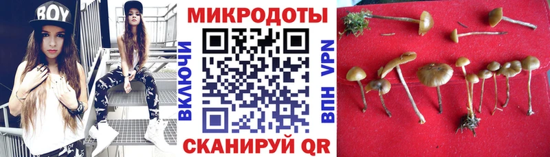 Псилоцибиновые грибы мицелий  Купить где  Дорогобуж 